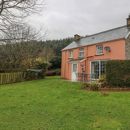 Pen Y Bryn Villa Llanafan Exterior foto